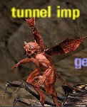 Picture of Tunnel Imp